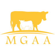 Murray Grey Association Australia