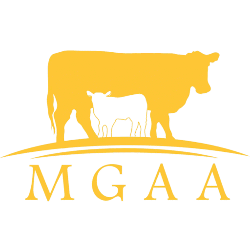 Murray Grey Association Australia